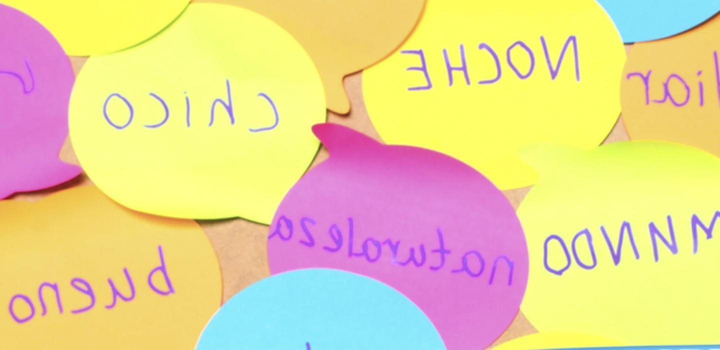 Several post it notes with spanish language words written on them.